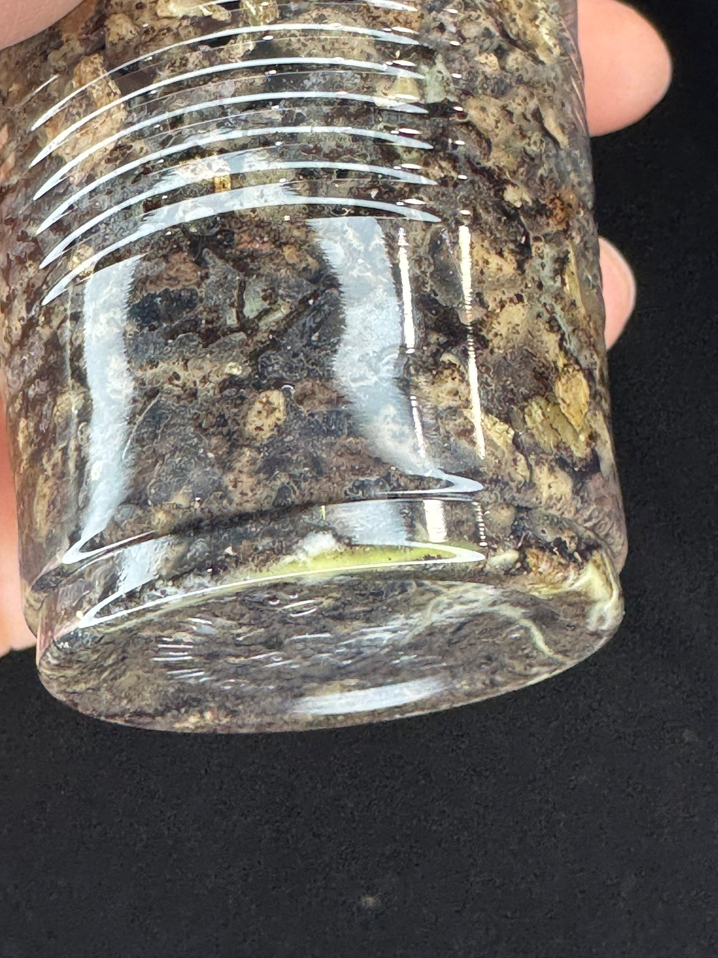 UNICORN🦄! Hoya snowman (#1), rare