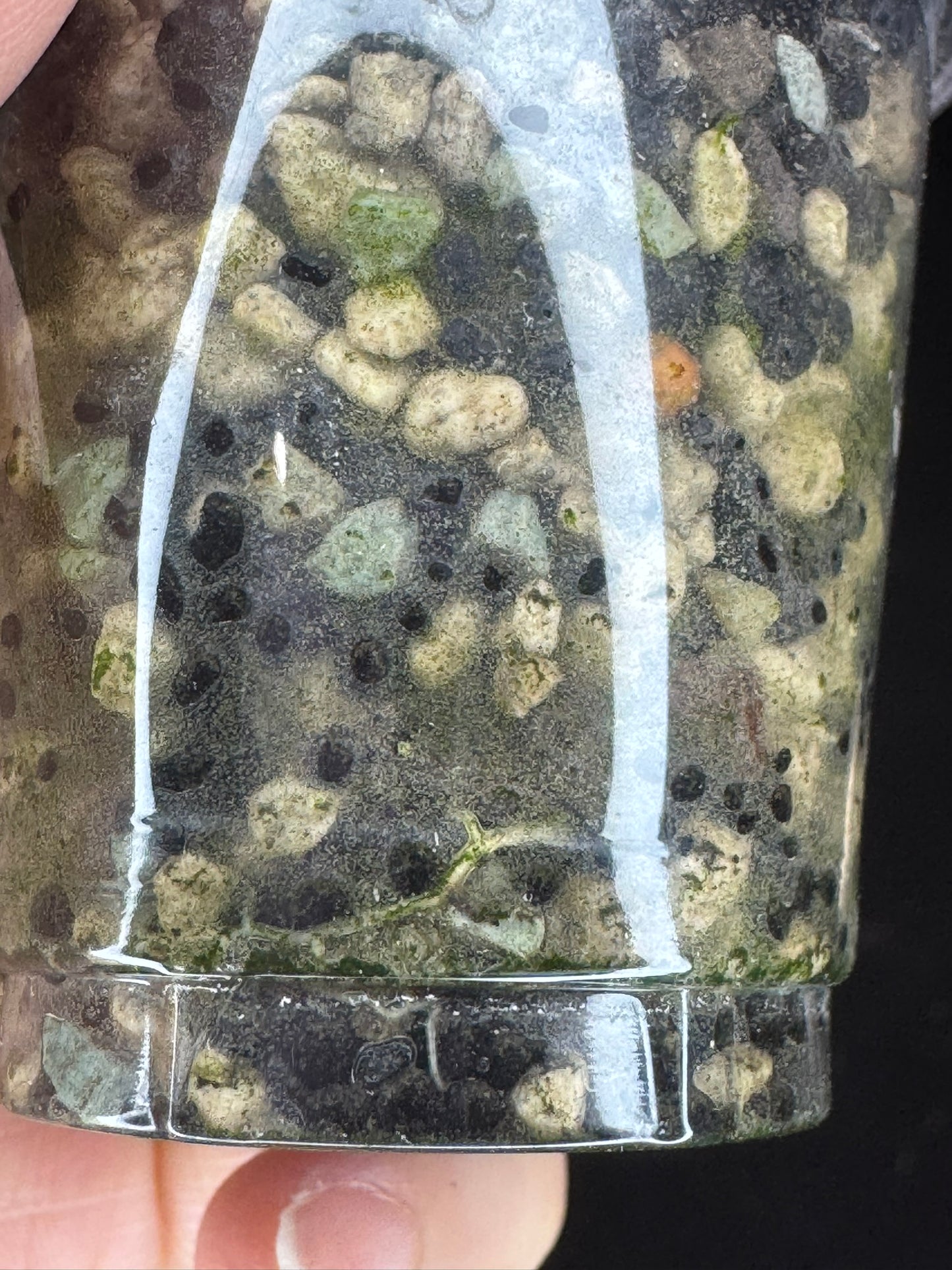 Hoya dennisii frida, nice variegation, beautiful pink flowers